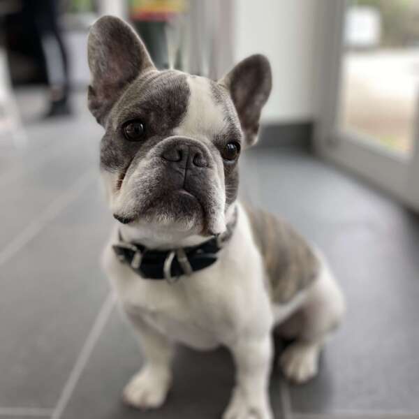 Ruben Ruben